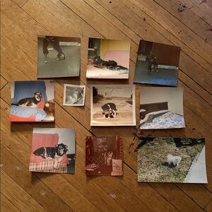 Vintage Dog Photo Collection